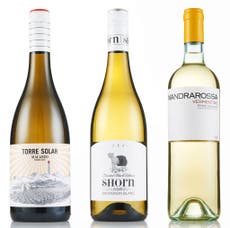 Wines of the week: Good-value, zesty whites for everyday drinking