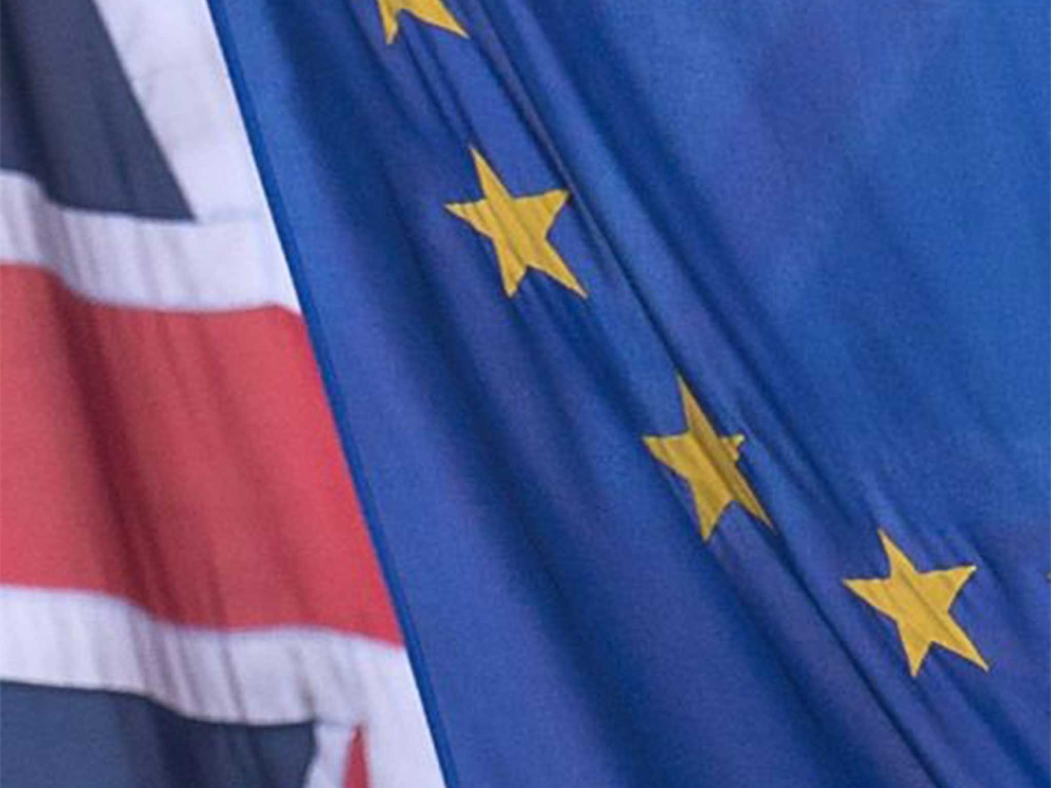 Up to half of Tory MPs may come out in favour of Brexit