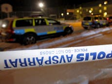 Swedish murder suspect admits he 'must have killed' friend