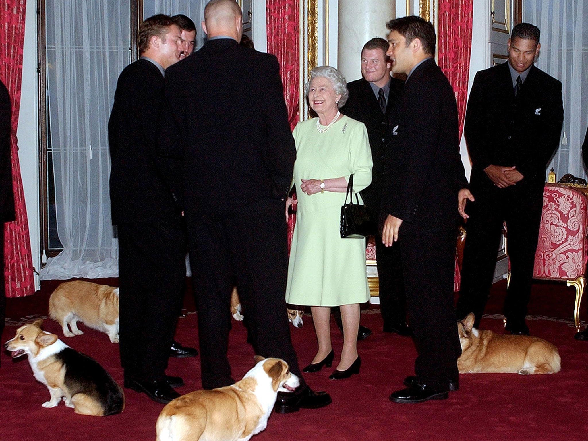 The Queen with her corgis in 2002