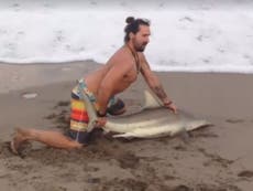 Video shows man pull struggling shark out of water and pin it down to pose for pictures on Florida beach