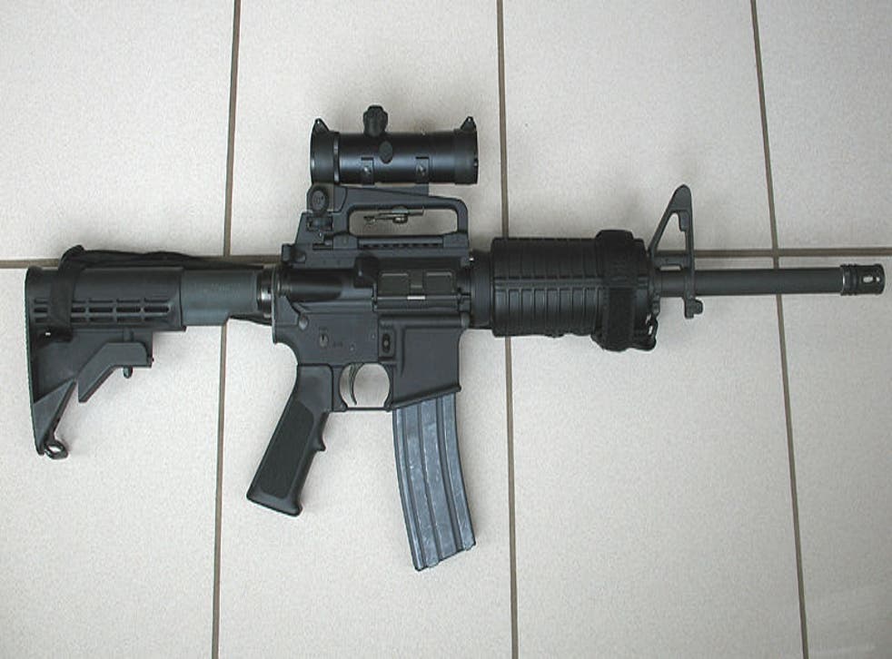 The lawsuit claims the AR-15 assault rifle has no legitimate civilian use