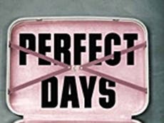 Perfect Days by Raphael Montes - book review