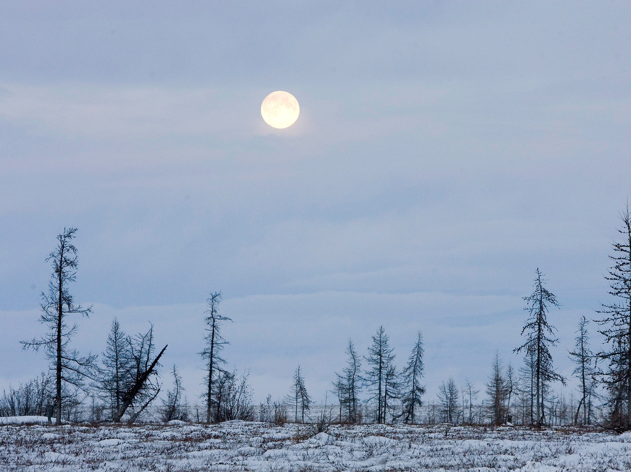 A full moon is seen in Tundra near the river of Khanemi, located in the Yamal peninsula above the polar circle