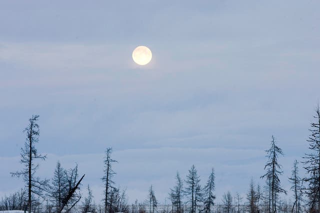A full moon is seen in Tundra near the river of Khanemi, located in the Yamal peninsula above the polar circle