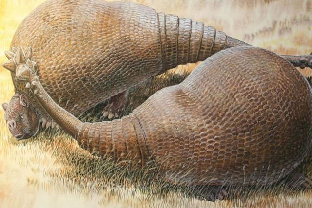 Glyptodonts were giant extinct cousins of modern armadillos that roamed South America