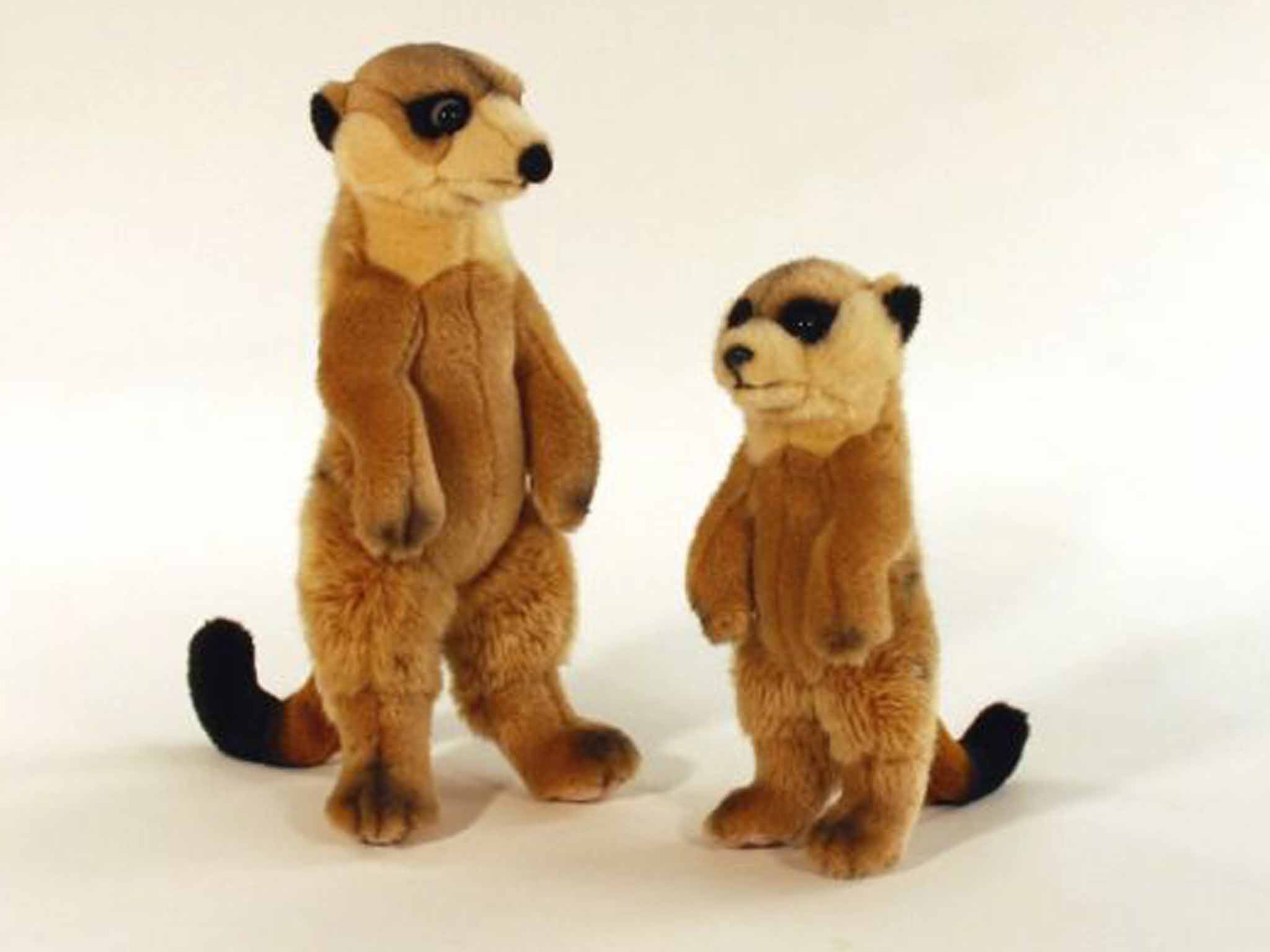 Compare the cheap meerkat teddy