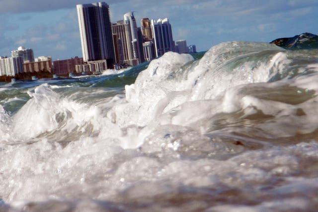 The surge in sea levels in the coming decades will continue a trend that began around 1950, when levels began to rise