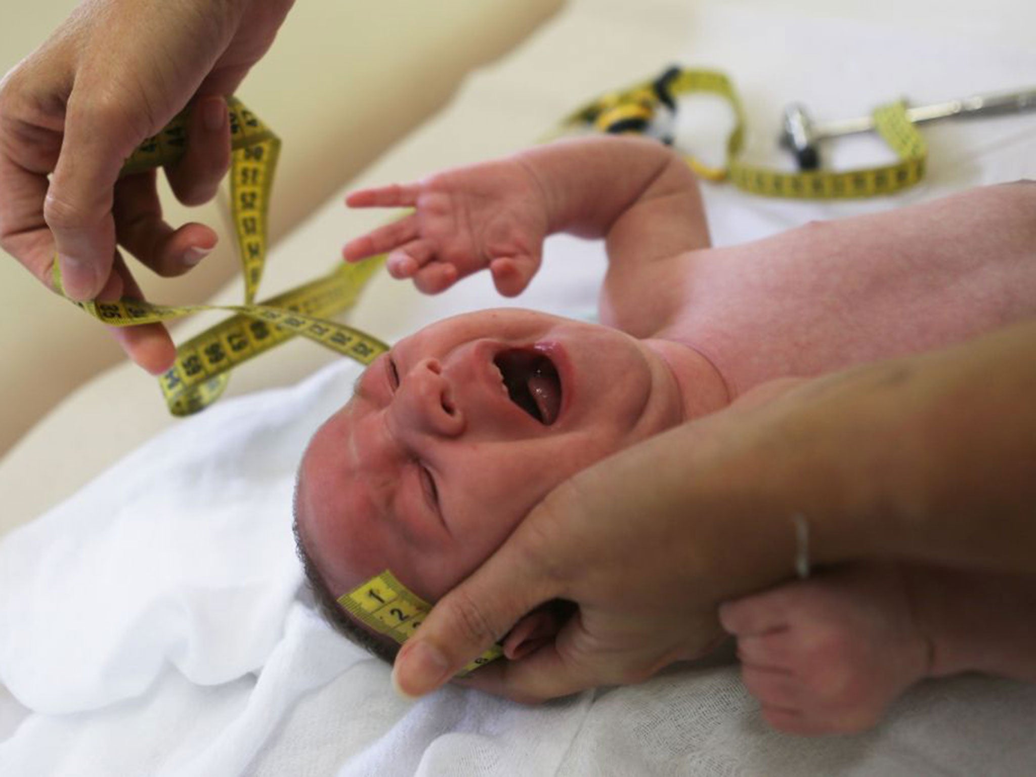 Zika is thought to be behind a spike in cases of micro-encephalitis - an inflammation of the brain contracted in the first months of pregnancy - which can stunt the growth of the foetus's head