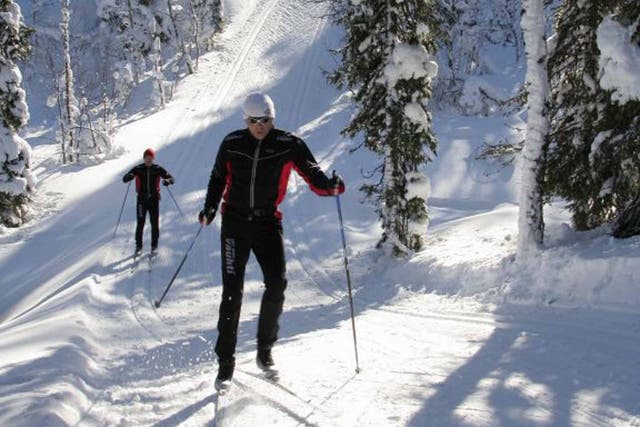 Pole position: Cross-country skiing in Yllas, Finland