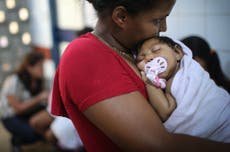 Read more

Zika virus: visible birth defects 'could be the tip of the iceberg'