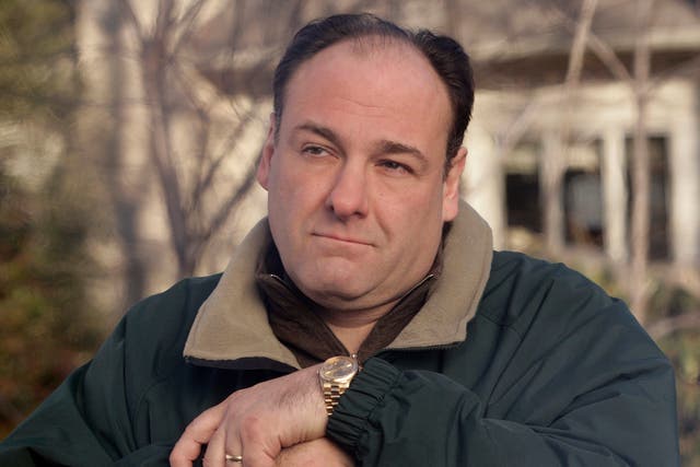 The iconic actor had his debut in True Romance in 1993 and then went on to play the lead role in HBO drama The Sopranos