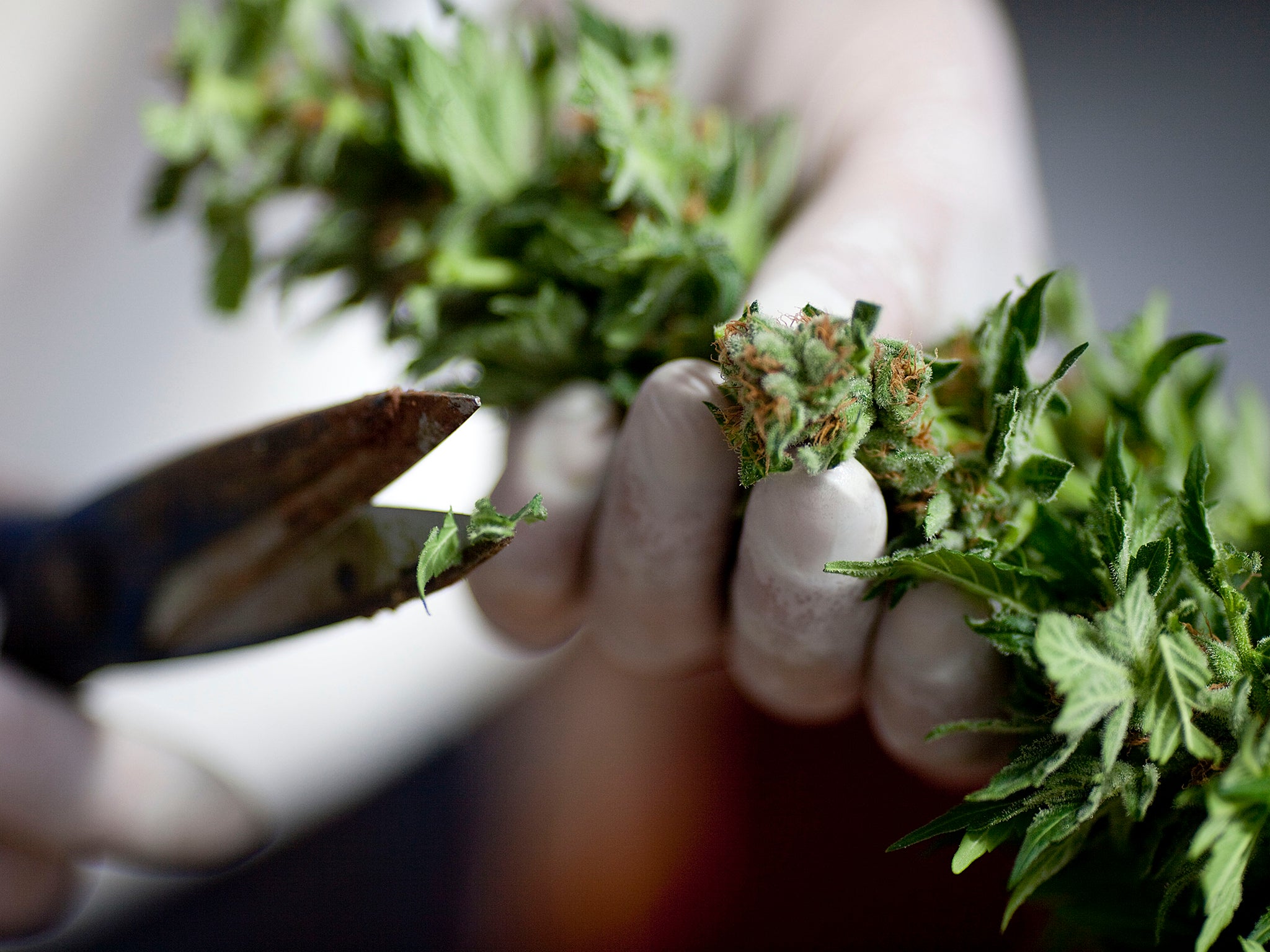 The court said the ruling had no bearing on the legalisation of marijuana for recreational use