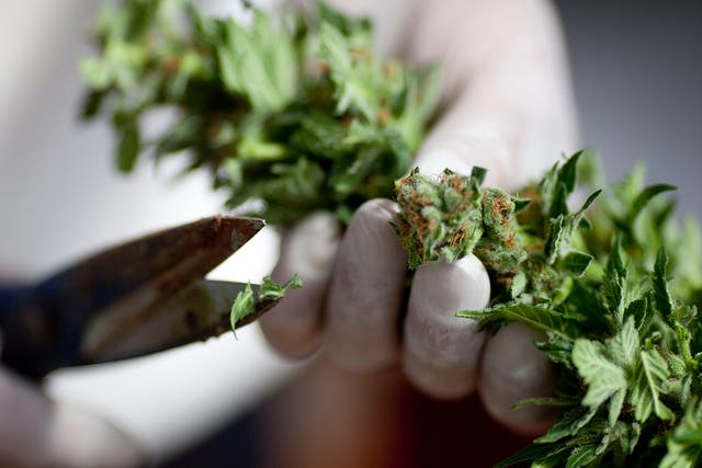 The court said the ruling had no bearing on the legalisation of marijuana for recreational use