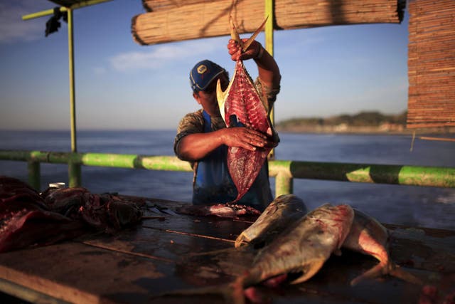 A fisherman cuts a fish at the fishermen dock in La Libertad, El Salvador