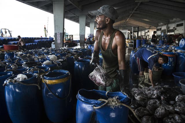 President Obama is trying to stem the tide of fish and other imports into the US that are tainted by slavery