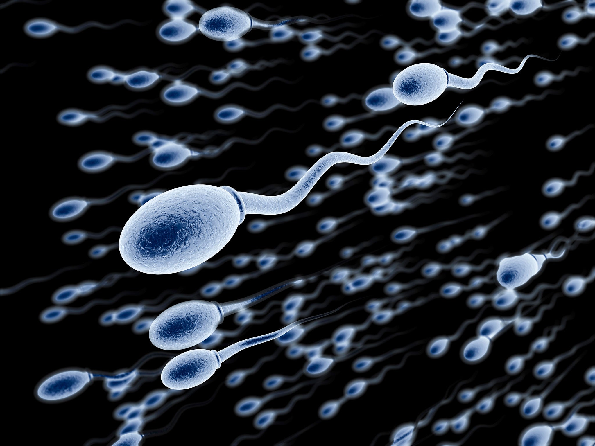 Infertile Men could Grow New Sperm From Skin Cells The Independent 