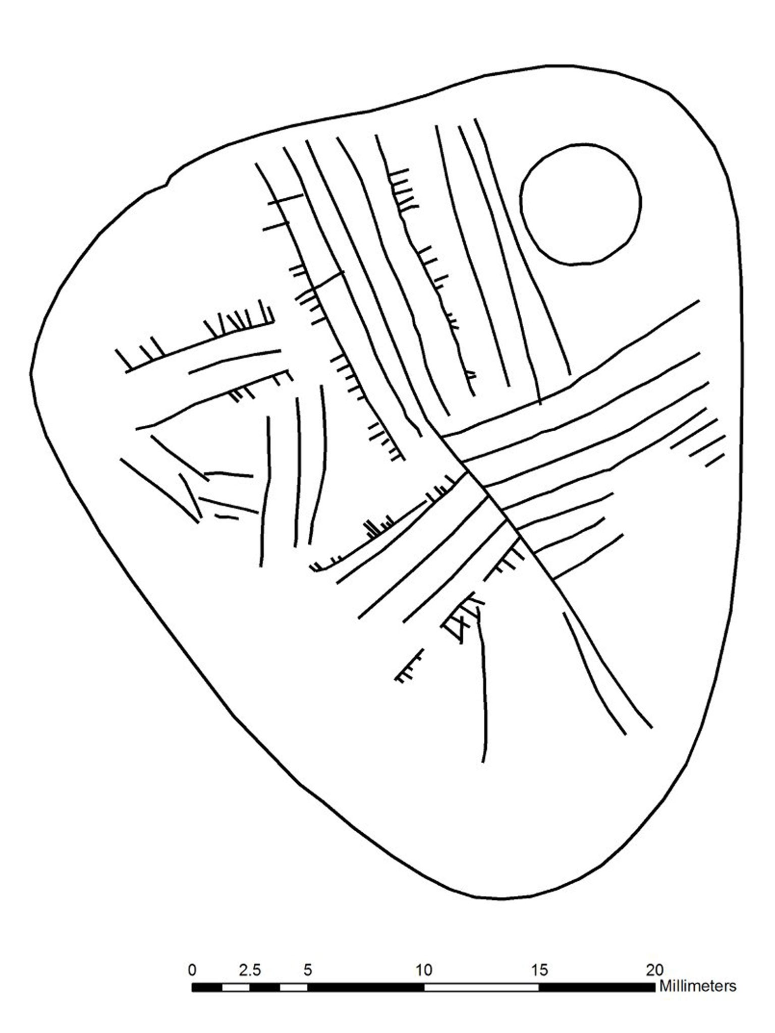 Drawing of the complex of long and short 'secret code' lines on the 11,000 year old stone pendant