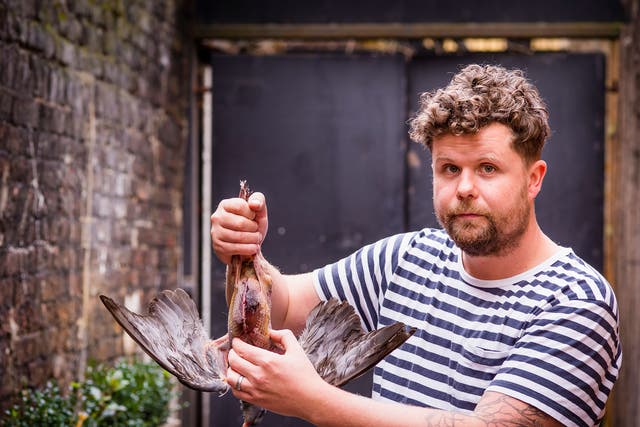 Robin with the wood pigeon: Game is the essence of macho cooking