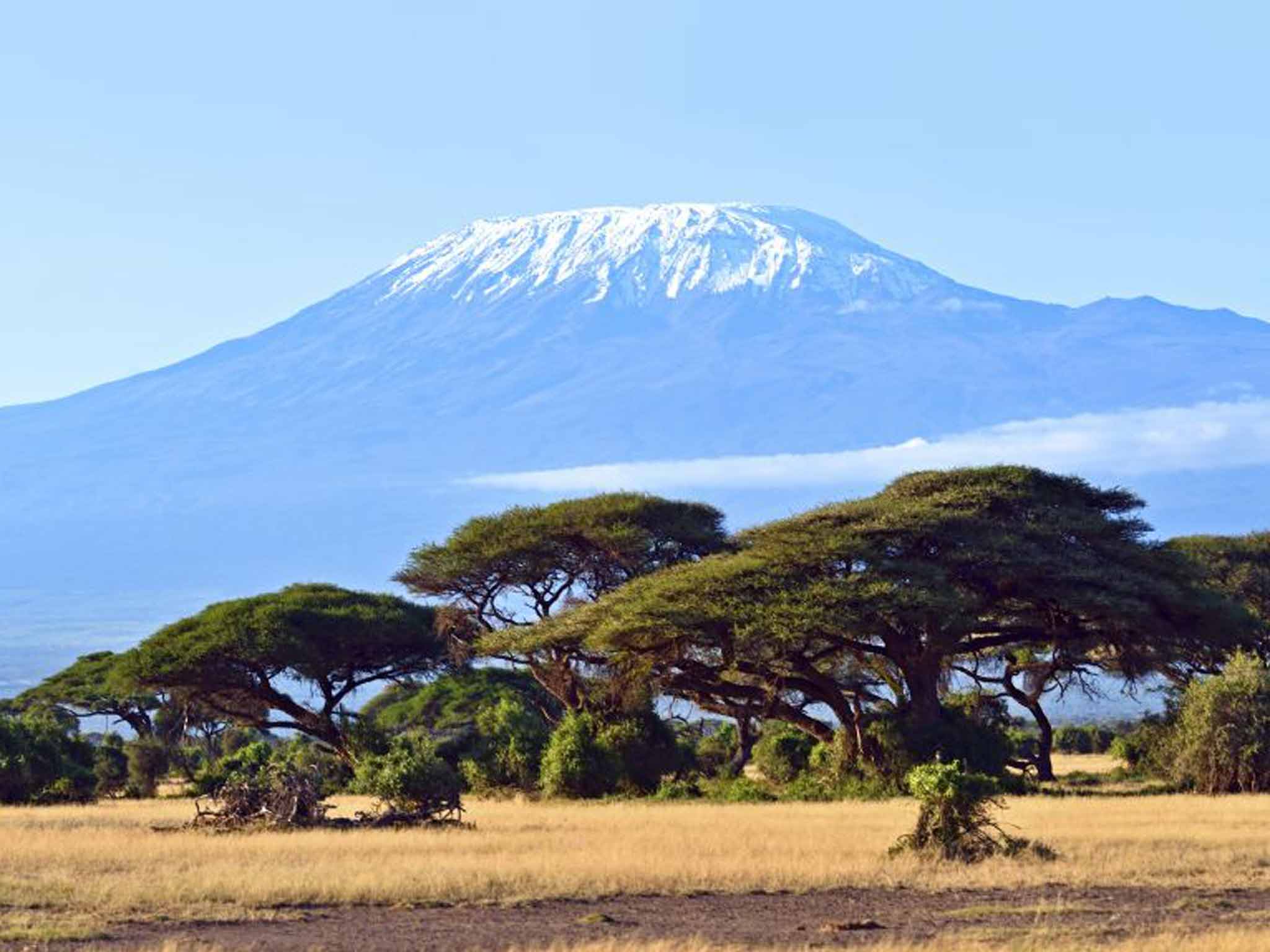 Take a peak: Greenwood climbed Mt Kilimanjaro