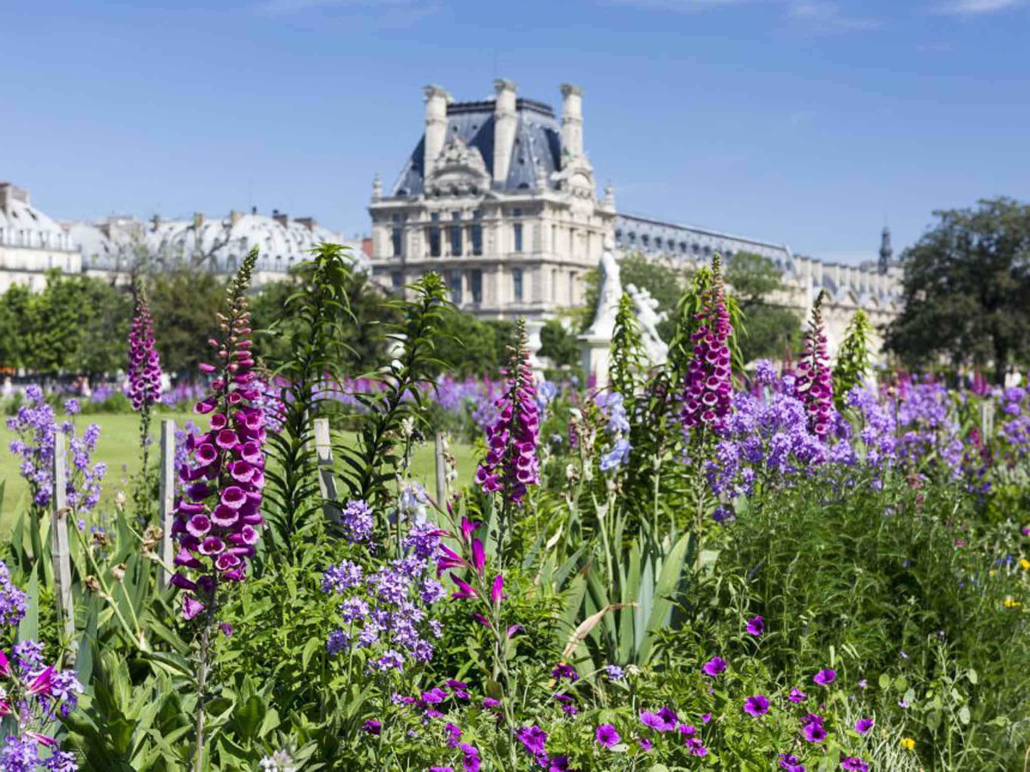 Flower power: Jardin des Tuileries, Paris