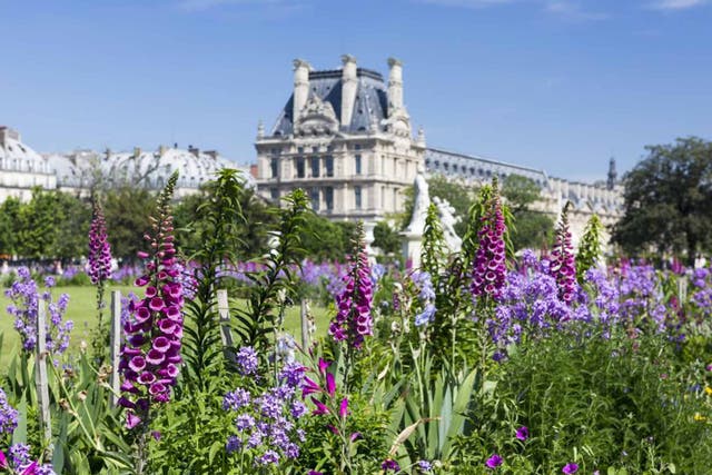 Flower power: Jardin des Tuileries, Paris