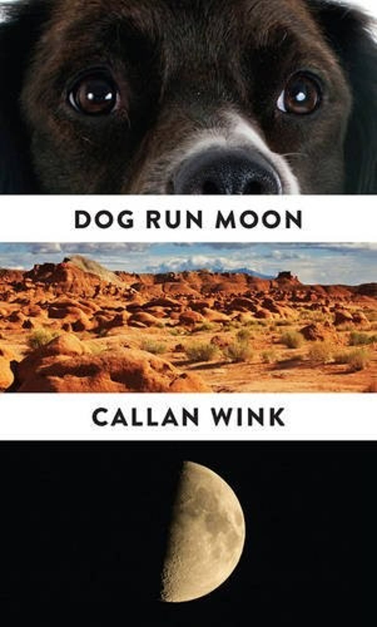 Callan Wink, Dog Run Moon 'Soft whispers way out West', book review