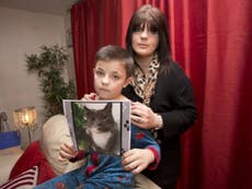 Fears grow as Croydon cat killer casts net more widely