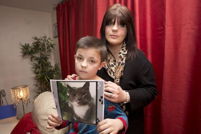 Amber Lewis and her son Liam, eight, whose cat, Leo, is believed to have been a victim of the Croydon Cat Killer, who is suspected of having killed up to 66 animals; Louie died after its leg was severed.
