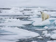 Why record-breaking Arctic melting is just the beginning