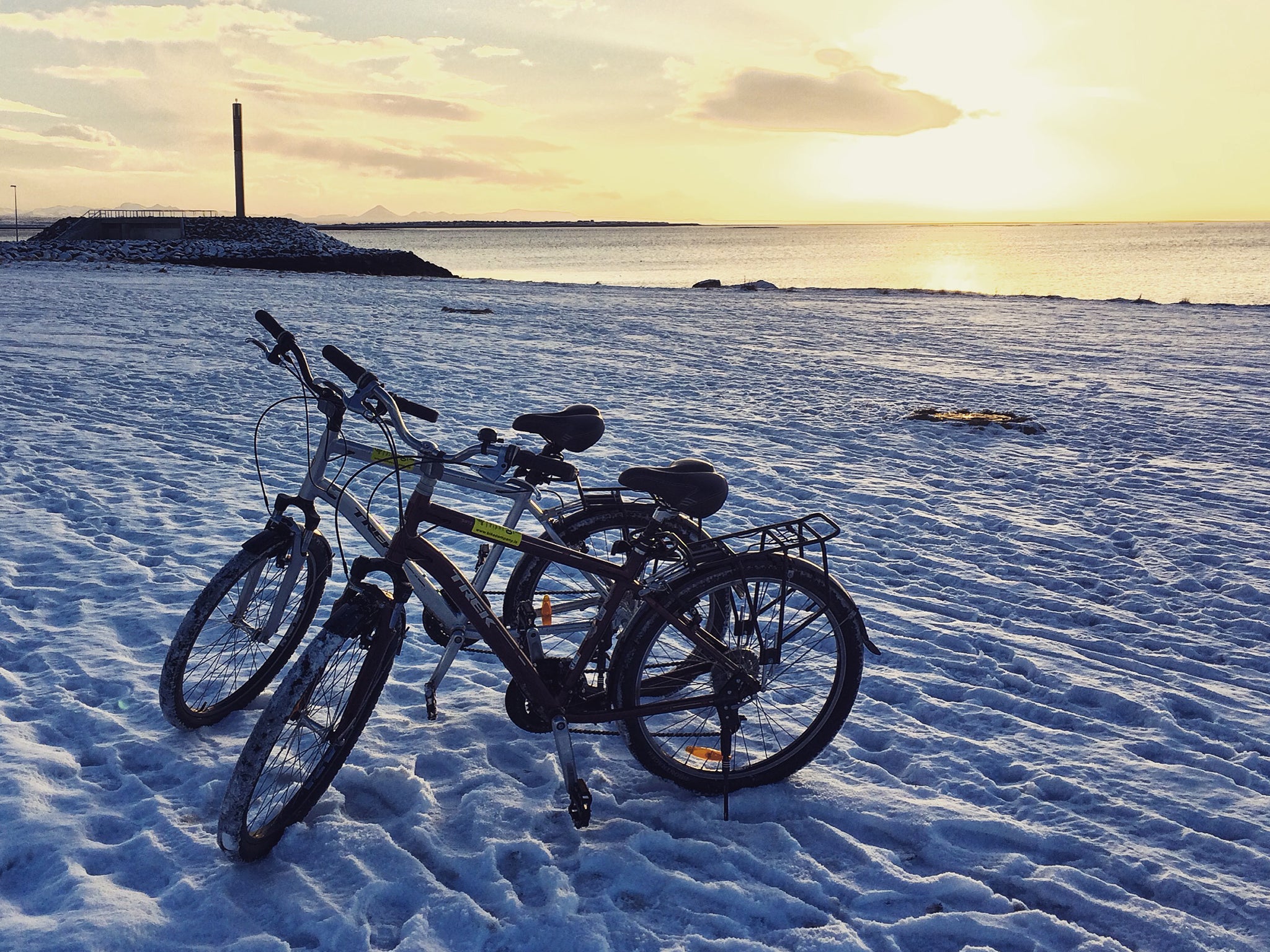 Go for a spin: Ellie's 'buddy' took her cycling along the coast near Reykjavik
