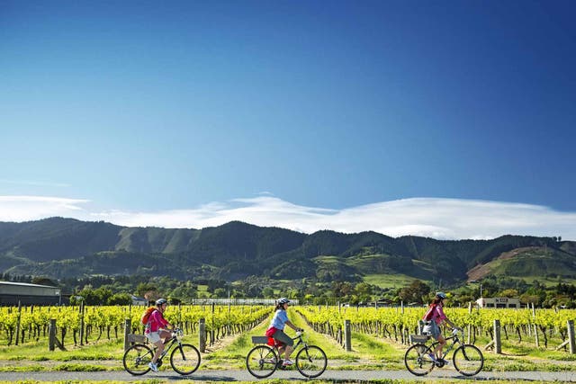 By bike: Viniculture in action