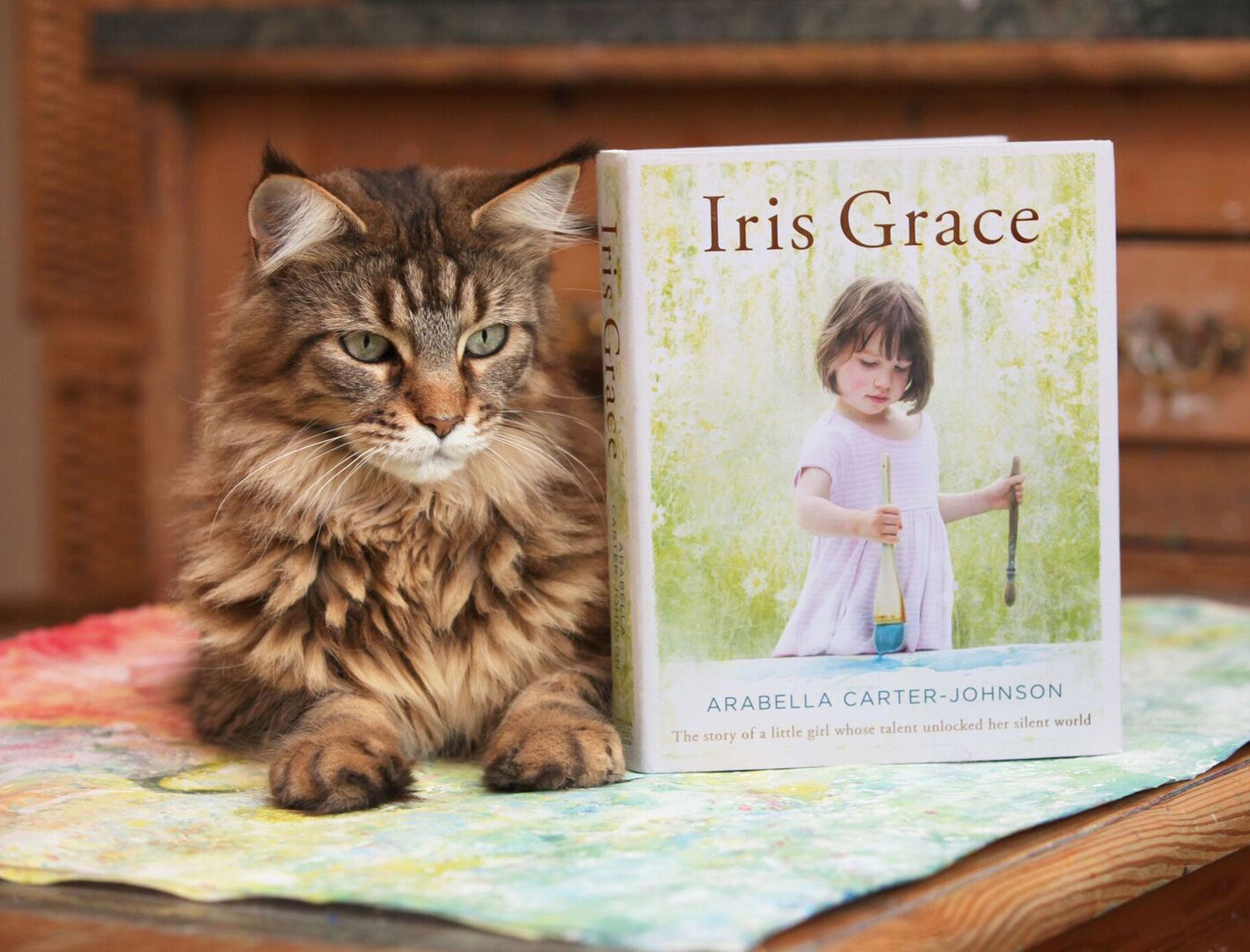 Thula the cat poses next to new book Iris Grace by Arabella Carter-Johnson