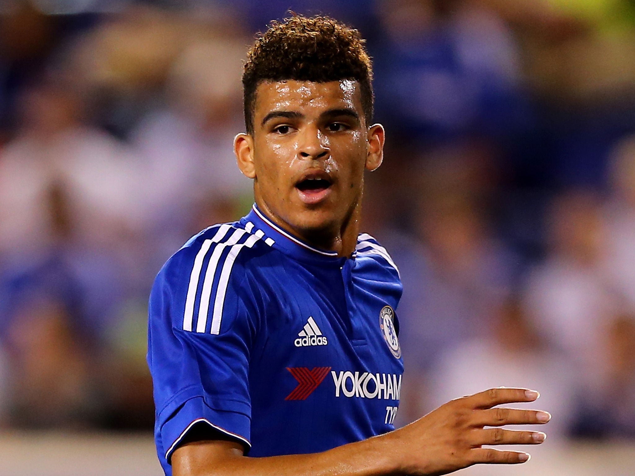 Dominic Solanke will move to Anfield this summer