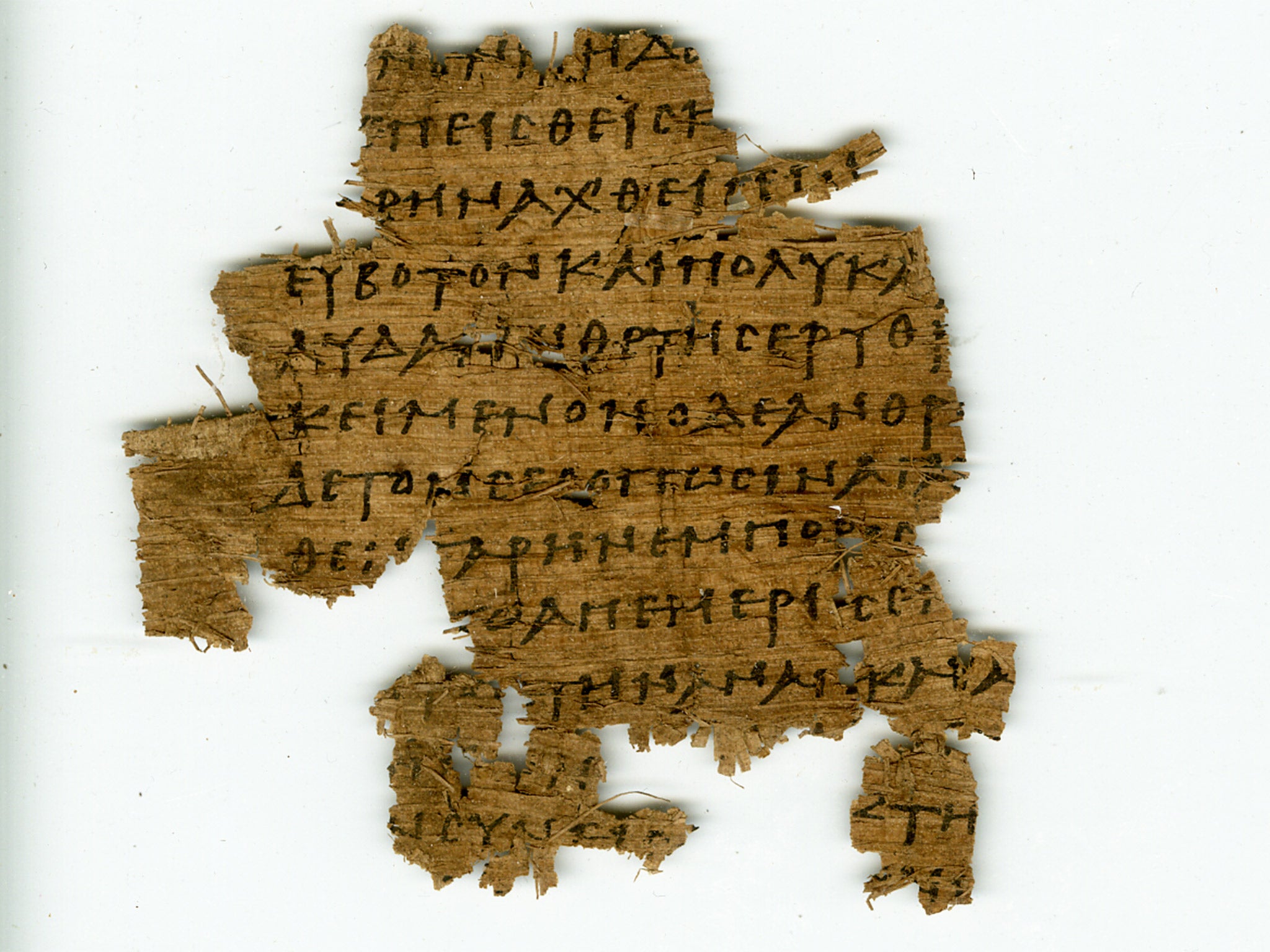 Half a million papyrus fragments were found