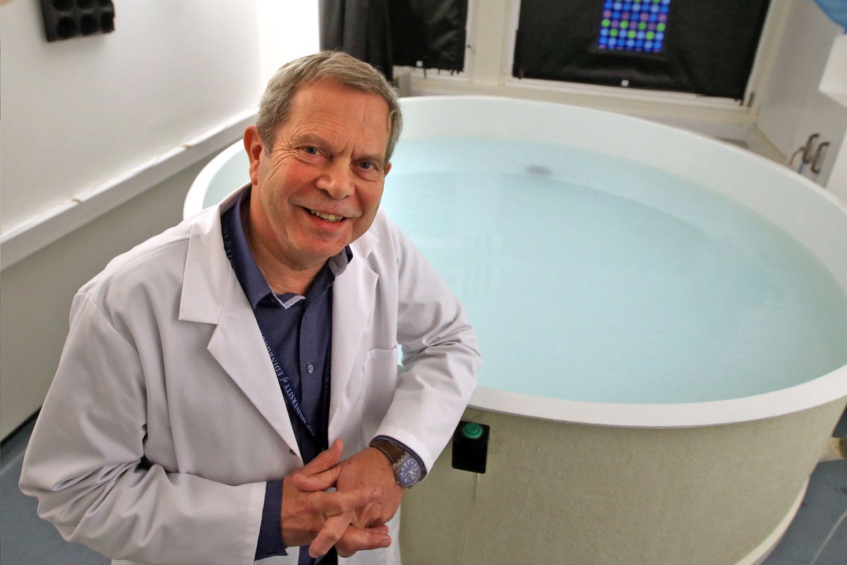 Professor Richard Morris, profile: Scientist and one of the winners of ...