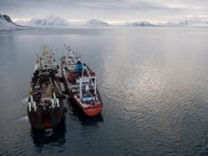 Read more

Arctic's 'pristine' seas under threat from fishing trawlers
