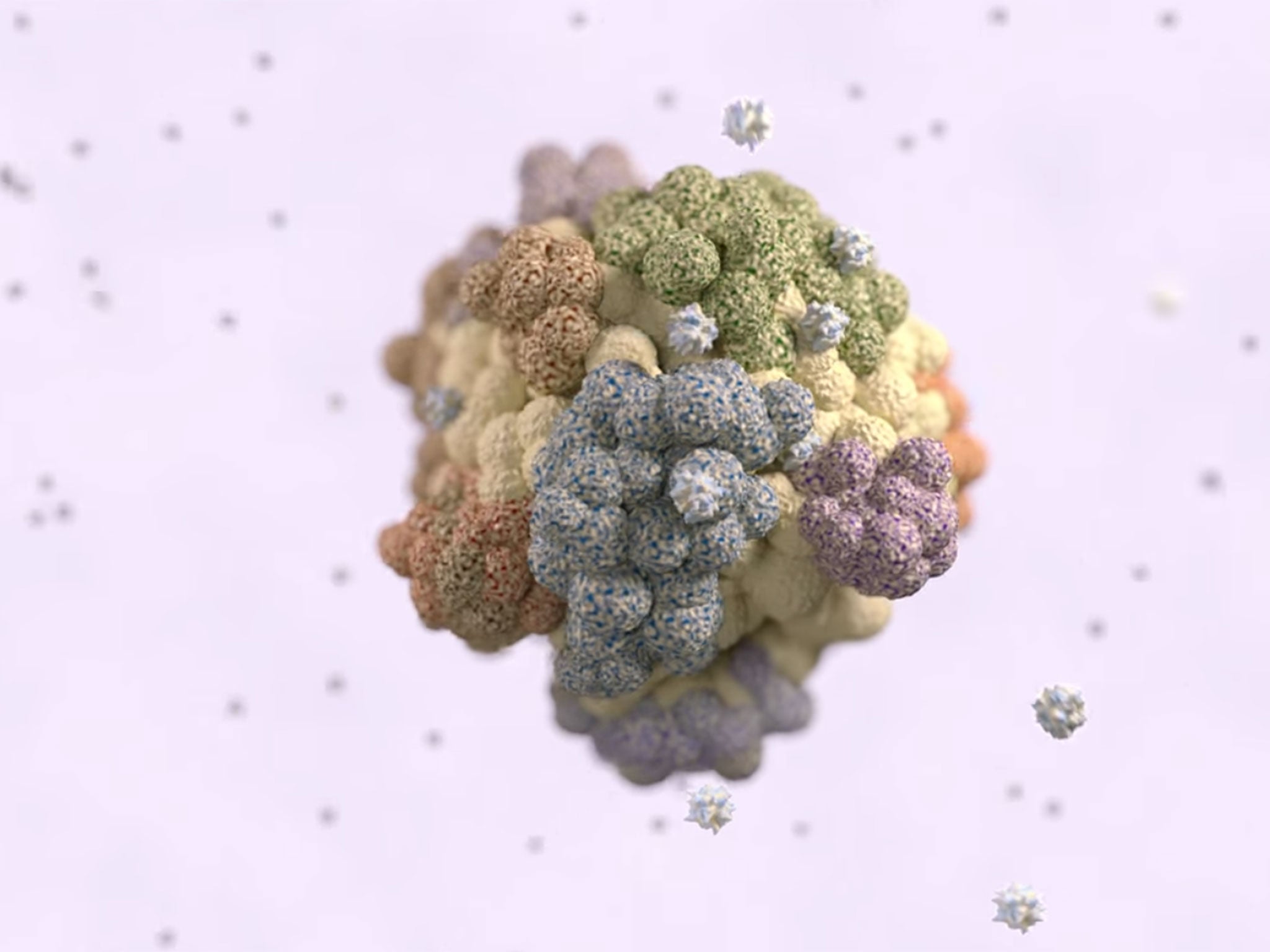 A still image from the Cancer Research video that explains the potential for immune cells could be marshaled to exploit a tumor's weakness