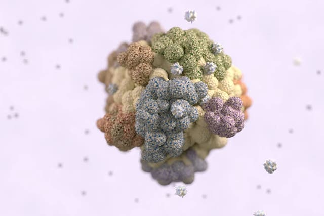 A still image from the Cancer Research video that explains the potential for immune cells could be marshaled to exploit a tumor's weakness