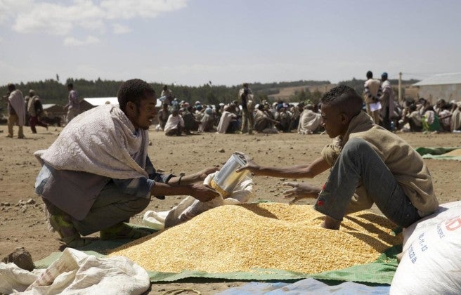 Nearly 10 million people are at risk of hunger in Ethiopia
