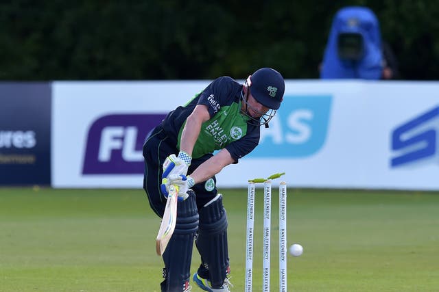 The experienced William Porterfield will lead Ireland as they seek to qualify