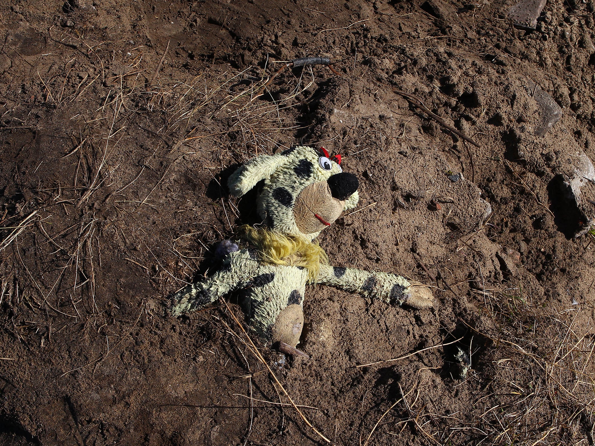 A child’s stuffed bear lies abandoned at the Jungle in Calais as French authorities move to clear the camp.