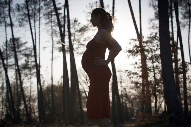Scientists have concluded that giving pregnant women antioxidants would probably prevent or delay some types of cell damage and allow their children to age more slowly in adulthood
