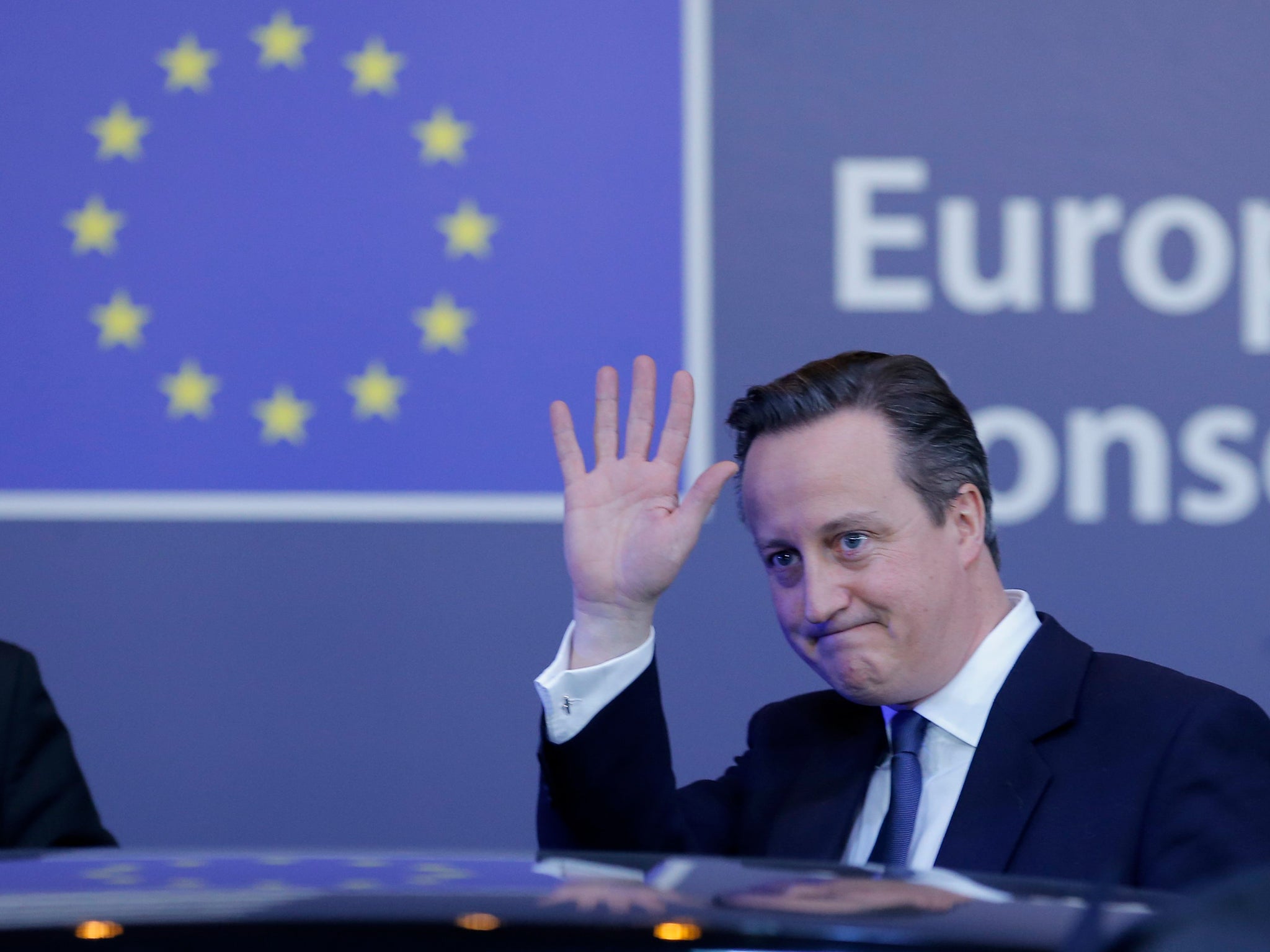 David Cameron's EU deal has left some Tories wanting to leave the bloc