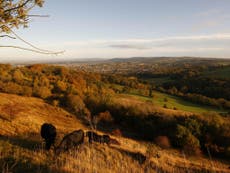 Read more

Environmentalists back Remain vote to protect the UK's countryside