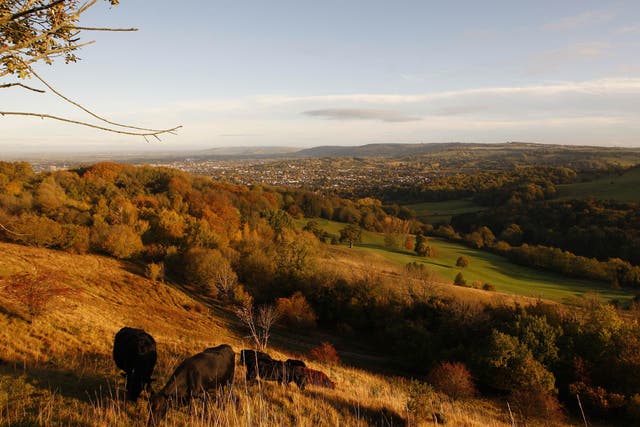 A green and pleasant land? Environmental campaigners want the UK to become a world leader in preserving the natural world after Brexit