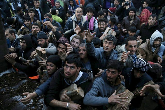 Migrants near Idomeni, Greece, scuffle over firewood