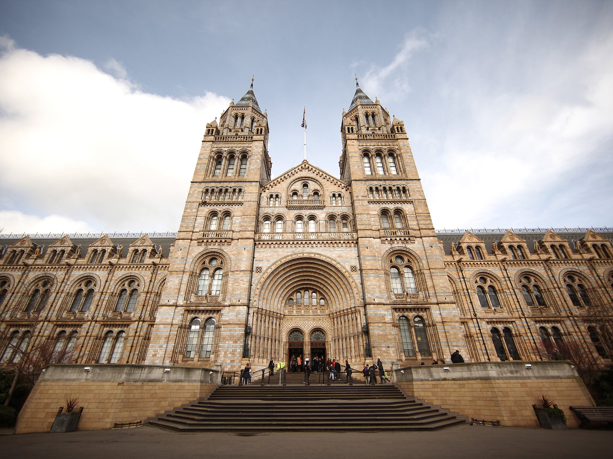 The Natural History Museum has selected a new director – and it's a man
