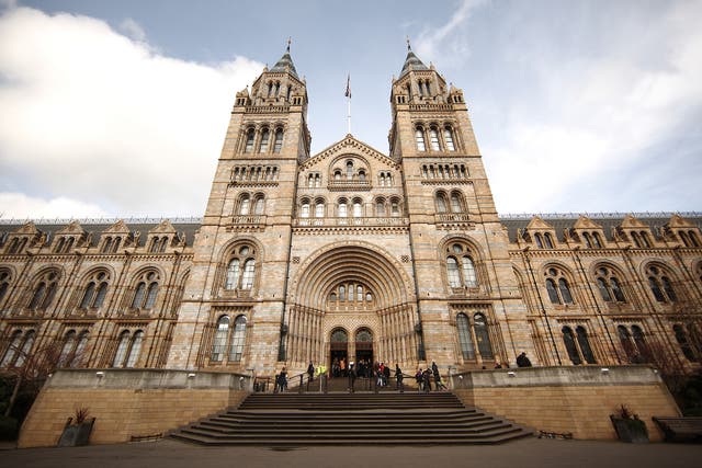 The Natural History Museum has selected a new director – and it's a man