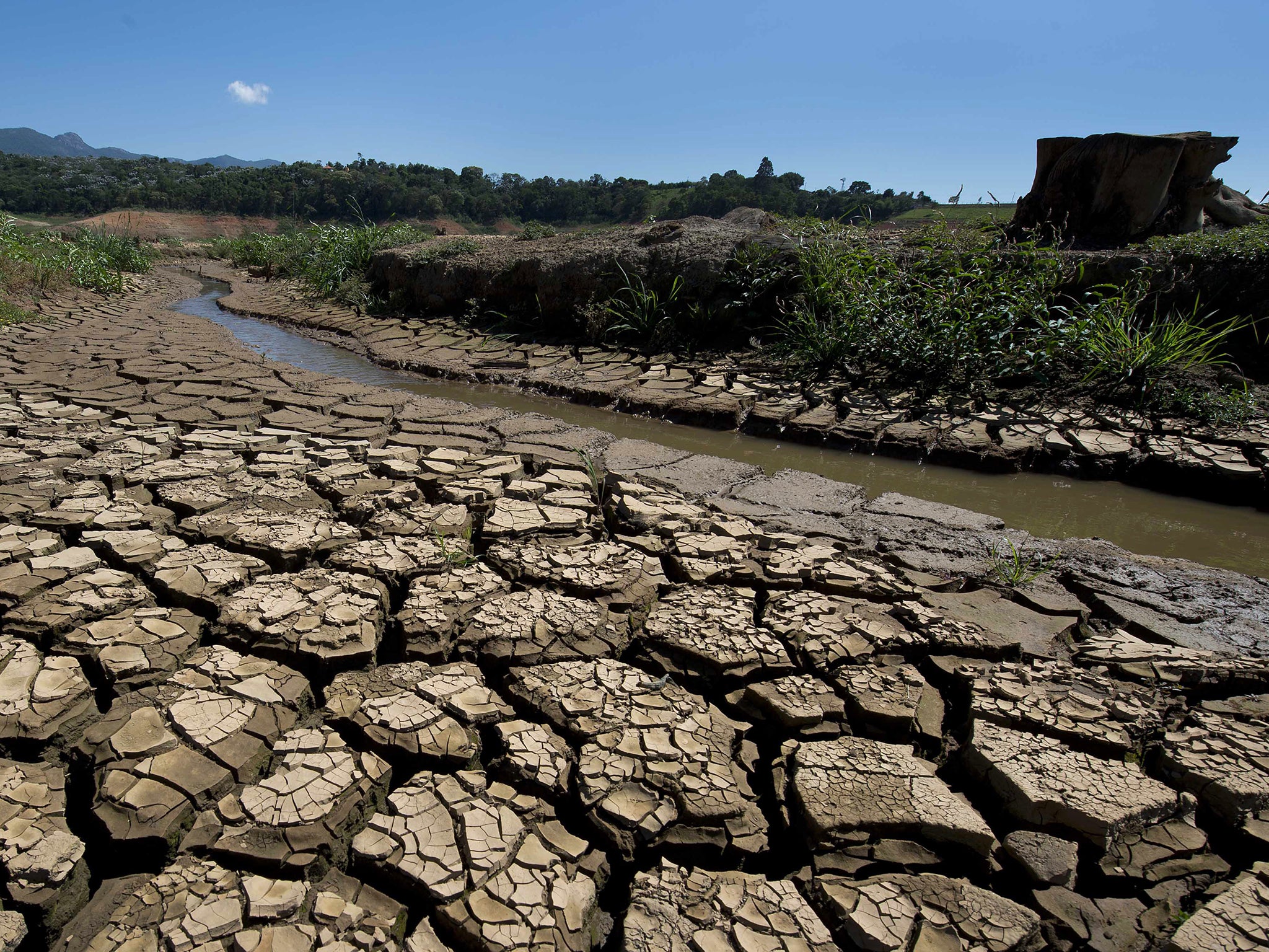 Brazilian farmers were found to have reacted to a warmer climate by planting less soybean and maize